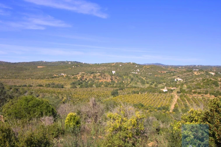Terreno para Venda em Luz de Tavira e Santo Estêvão Foto 25
