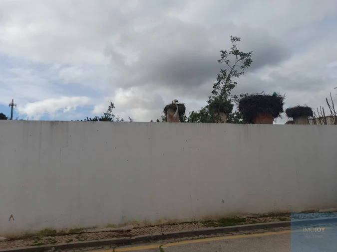 Terreno para Venda em Silves Foto 4