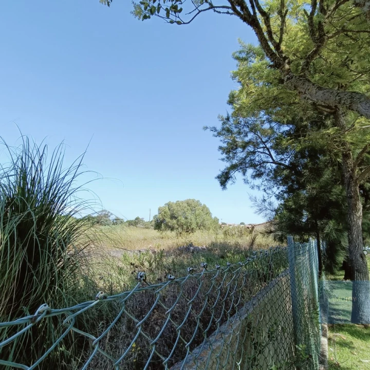 Terreno para Venda em São João das Lampas e Terrugem Foto 18