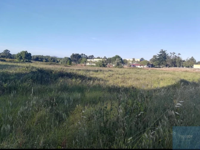 Terreno para Venda em São João das Lampas e Terrugem Foto 3