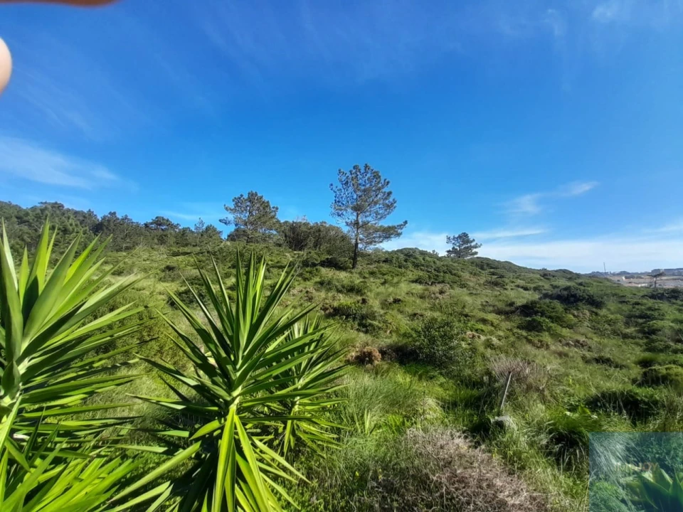 Terreno para Venda em Ericeira Foto 6