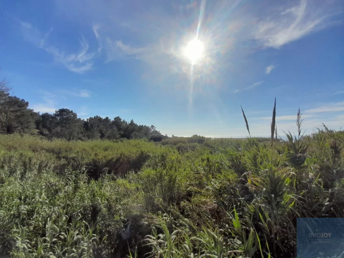 Terreno para Venda em Ericeira Foto 5