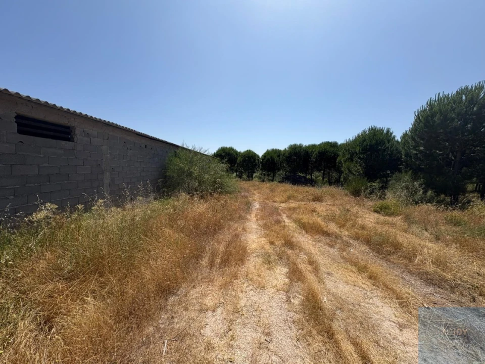 Terreno para Venda em São Vicente da Beira Foto 3