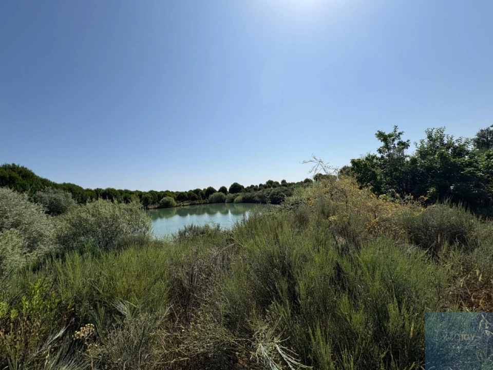 Terreno para Venda em São Vicente da Beira Foto 9