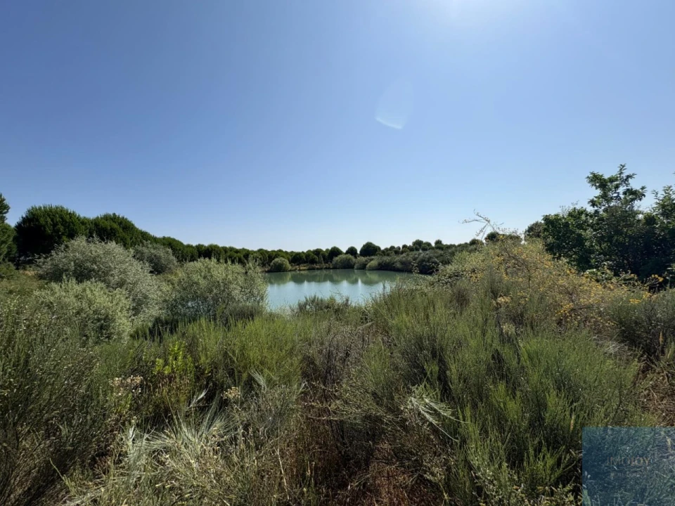 Terreno para Venda em São Vicente da Beira Foto 10