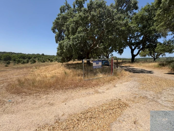 Terreno para Venda em São Vicente da Beira