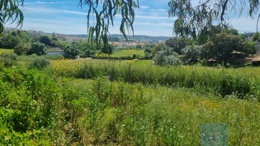 Terreno para Venda em Loures Foto 4
