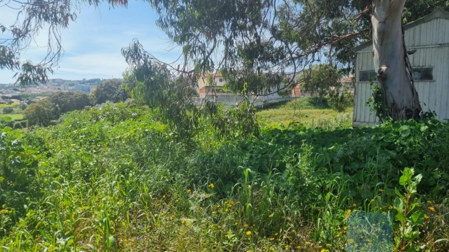 Terreno para Venda em Loures Foto 6