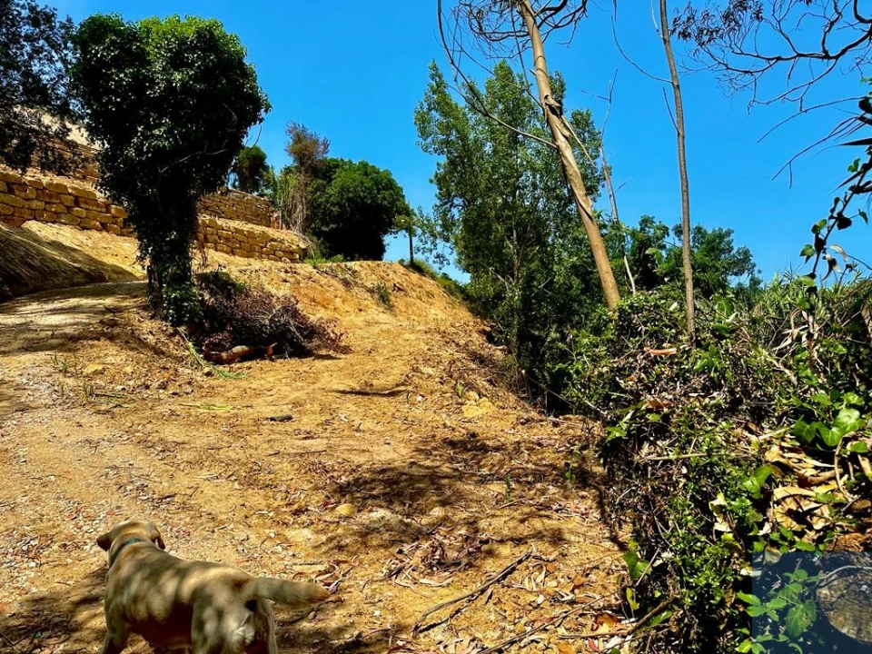 Terreno para Venda em Ericeira Foto 4