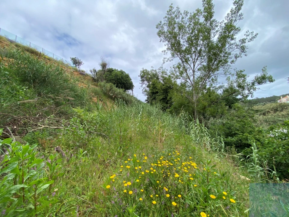 Terreno para Venda em Ericeira Foto 9