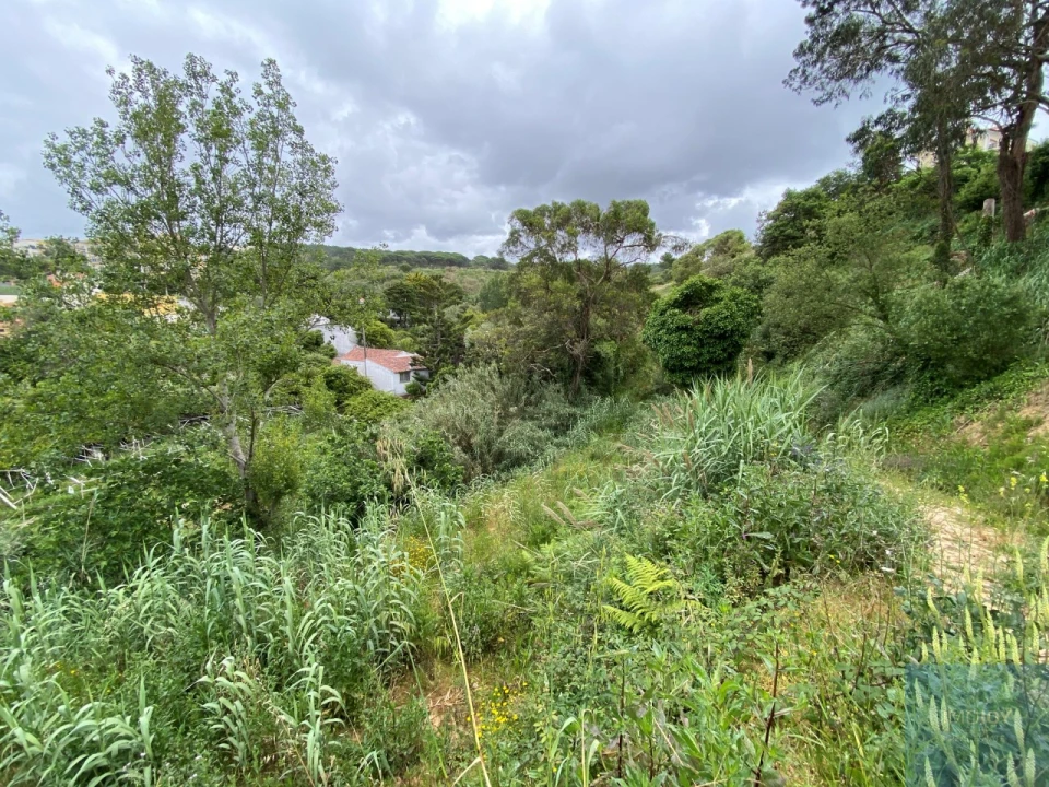 Terreno para Venda em Ericeira Foto 13