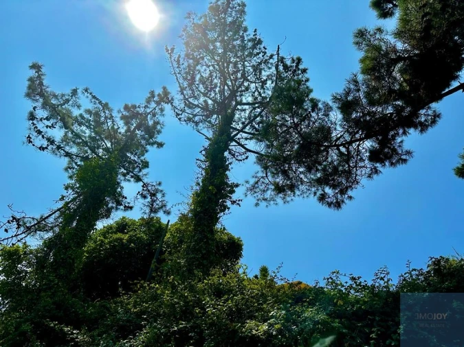 Terreno para Venda em Ericeira Foto 5