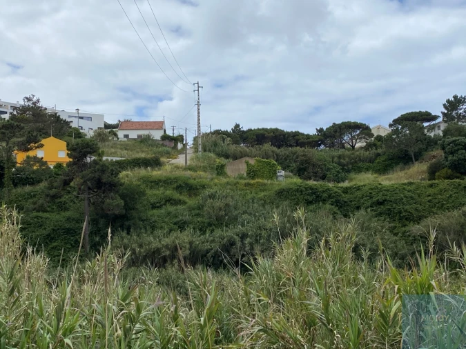 Terreno para Venda em Ericeira Foto 14