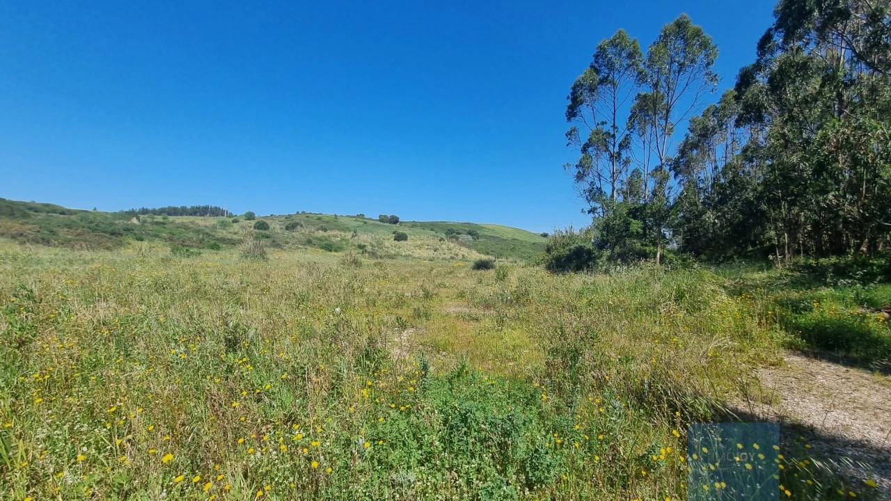 Terreno para Venda em Malveira e São Miguel de Alcainça Foto 3