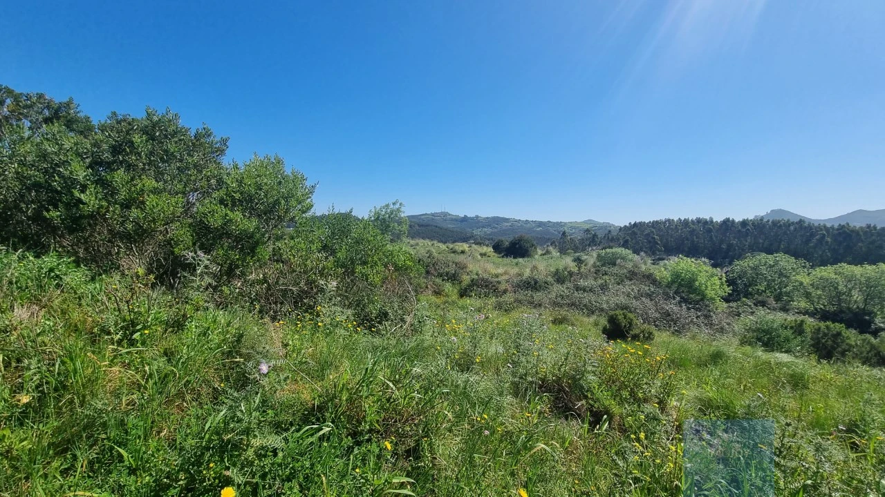 Terreno para Venda em Malveira e São Miguel de Alcainça Foto 4