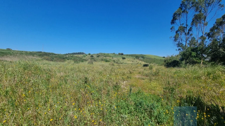 Terreno para Venda em Malveira e São Miguel de Alcainça Foto 2