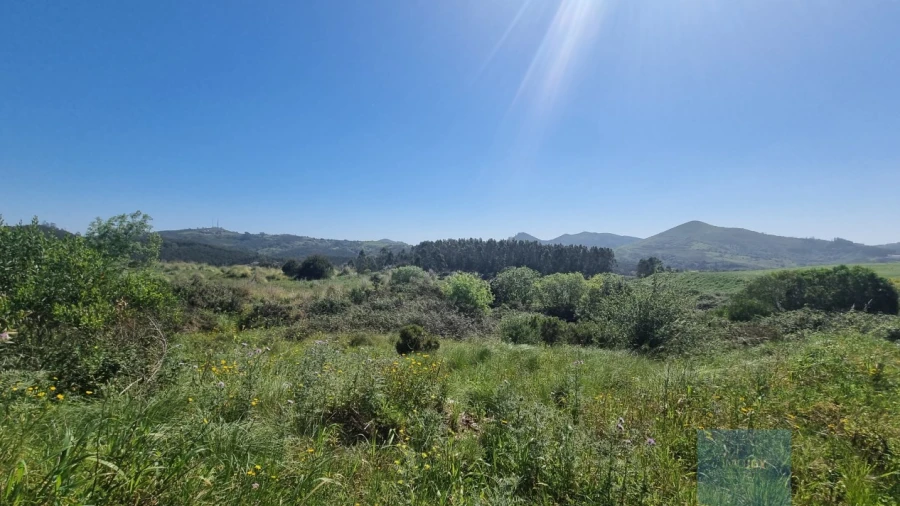 Terreno para Venda em Malveira e São Miguel de Alcainça