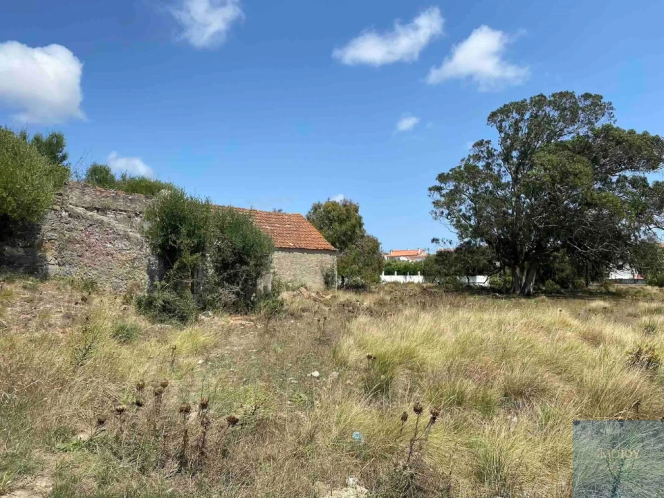 Terreno para Venda em Santa Maria e São Miguel, São Martinho, São Pedro Penaferrim Foto 6