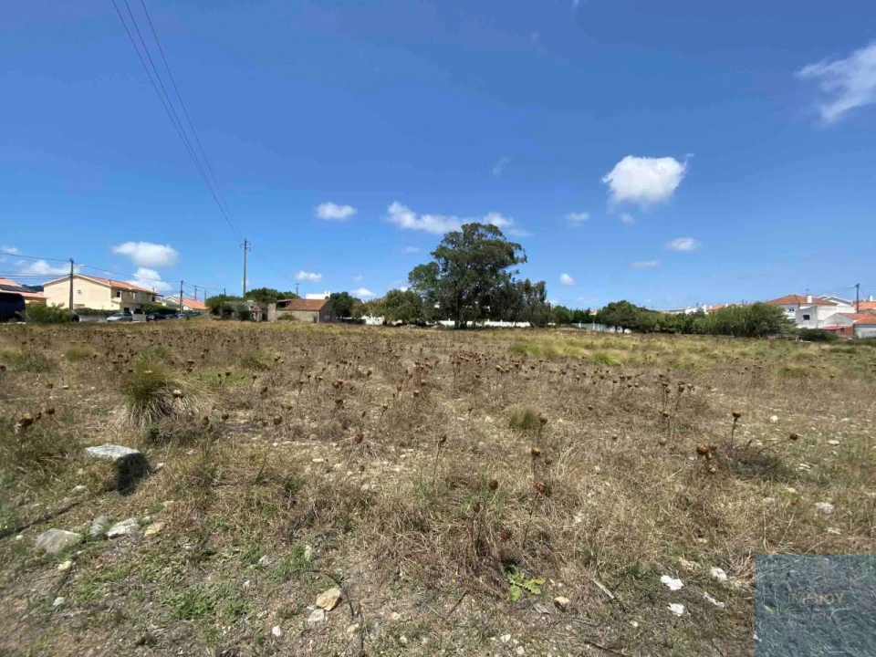 Terreno para Venda em Santa Maria e São Miguel, São Martinho, São Pedro Penaferrim Foto 9