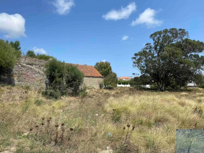 Terreno para Venda em Santa Maria e São Miguel, São Martinho, São Pedro Penaferrim Foto 6