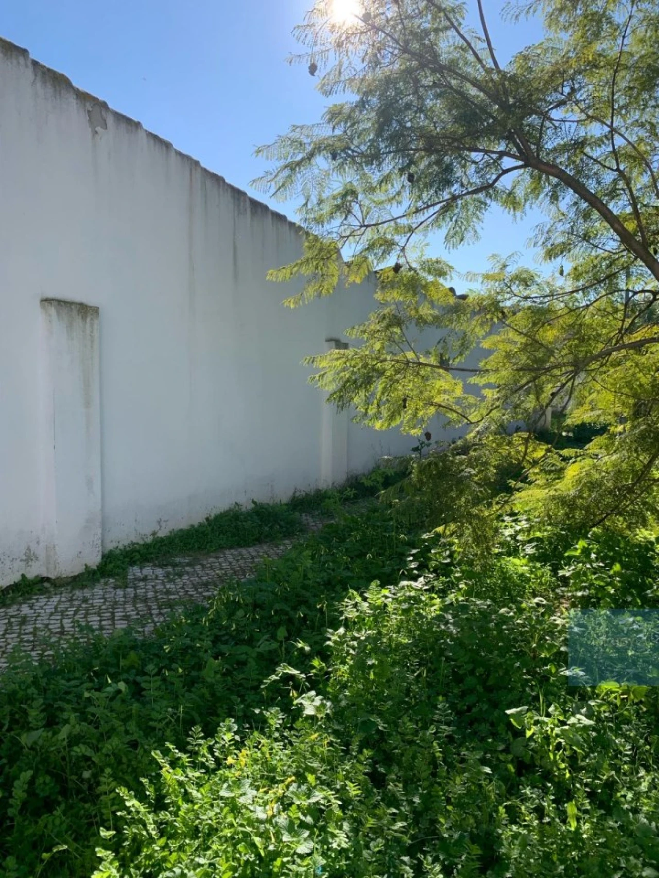 Terreno para Venda em Montijo e Afonsoeiro Foto 19