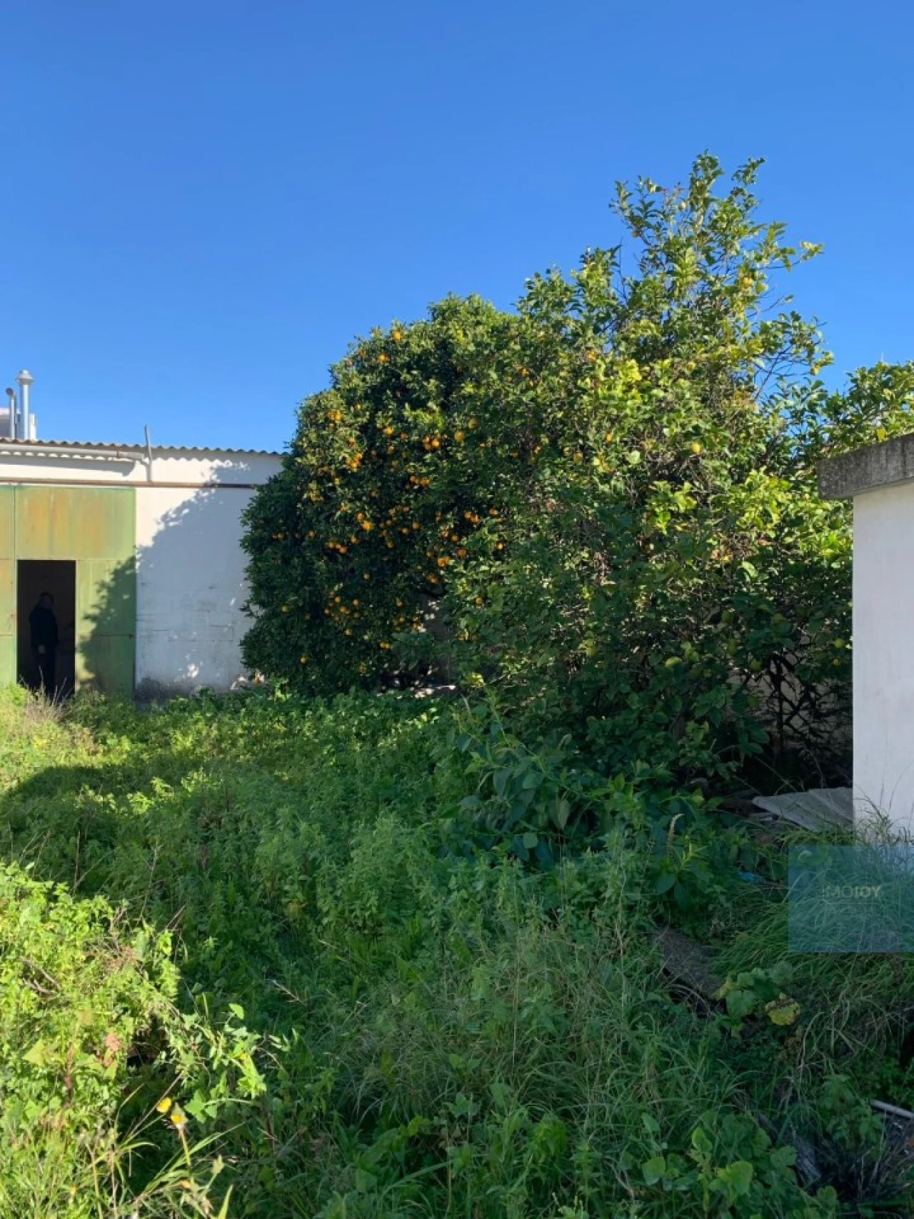 Terreno para Venda em Montijo e Afonsoeiro Foto 25