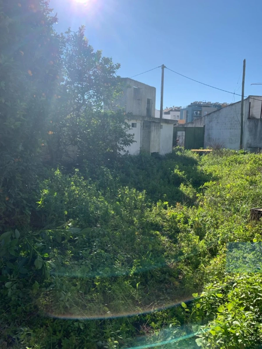 Terreno para Venda em Montijo e Afonsoeiro Foto 8