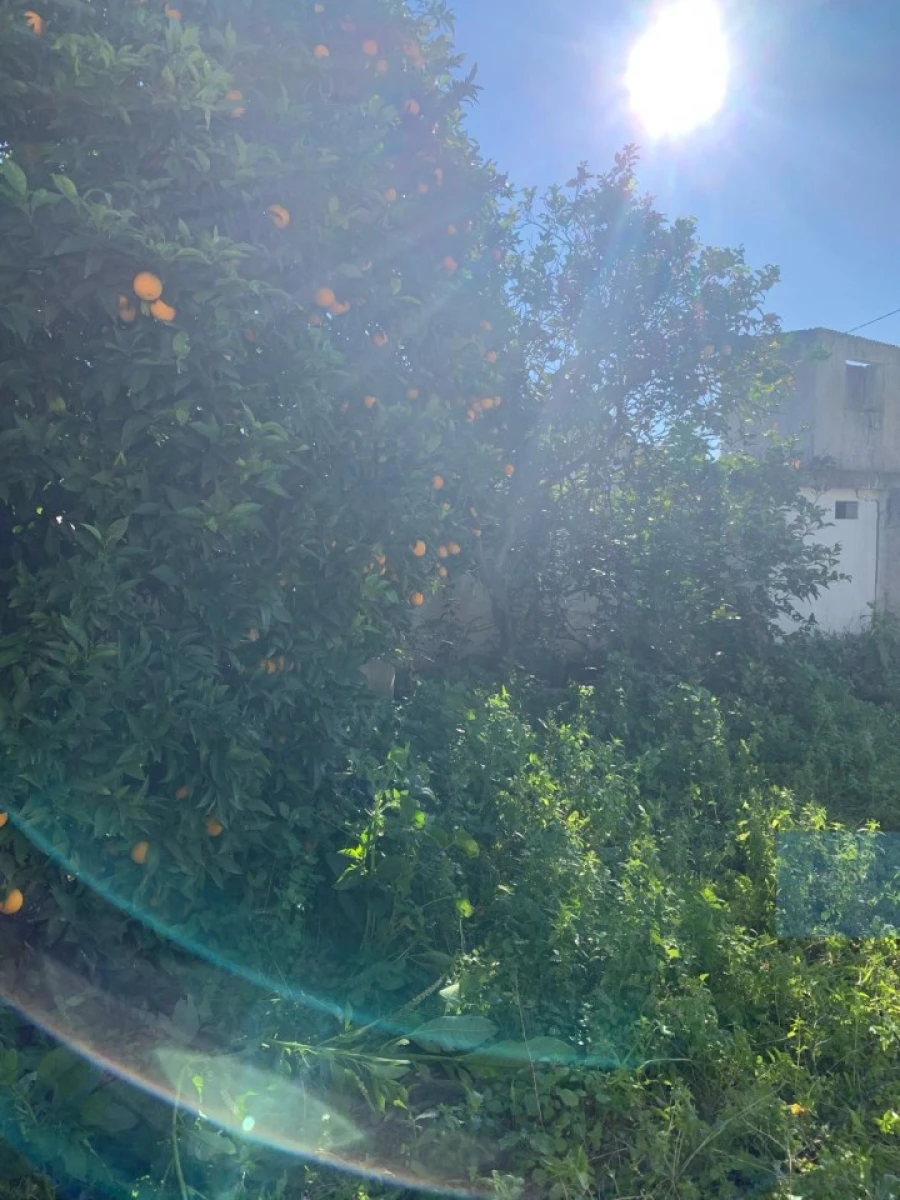 Terreno para Venda em Montijo e Afonsoeiro Foto 13