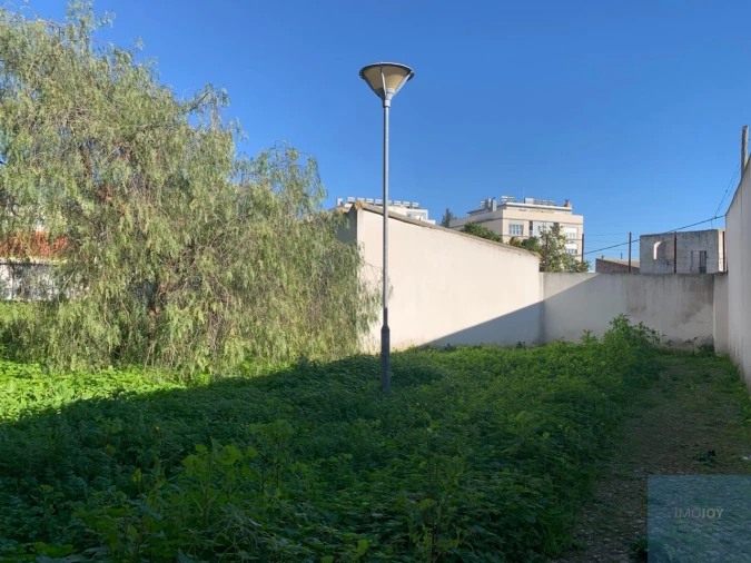 Terreno para Venda em Montijo e Afonsoeiro Foto 2