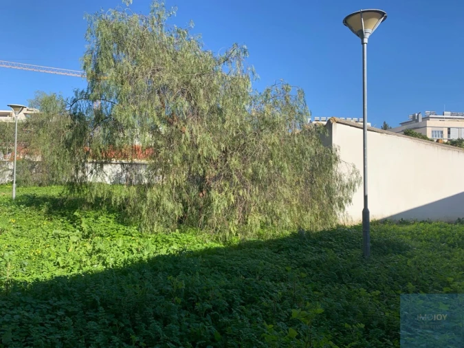 Terreno para Venda em Montijo e Afonsoeiro Foto 3