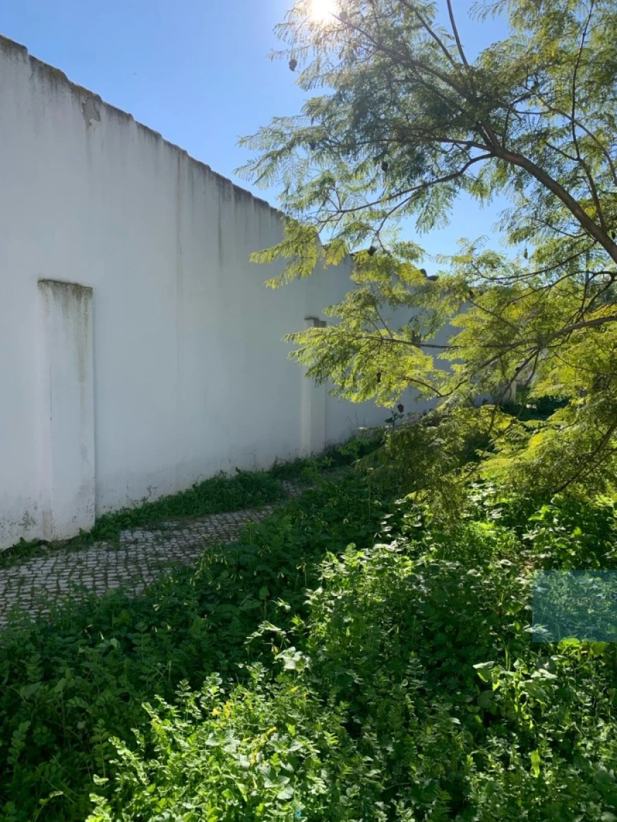 Terreno para Venda em Montijo e Afonsoeiro Foto 19