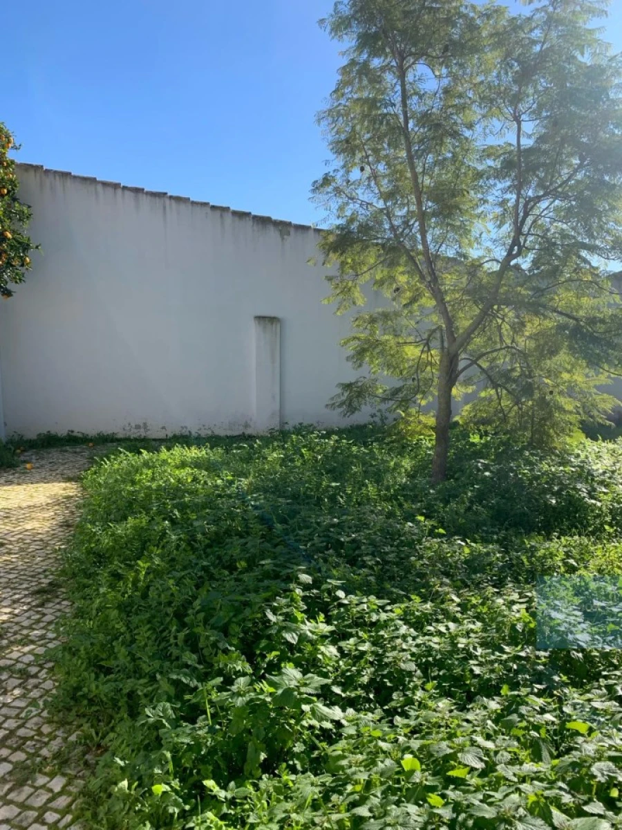 Terreno para Venda em Montijo e Afonsoeiro Foto 20