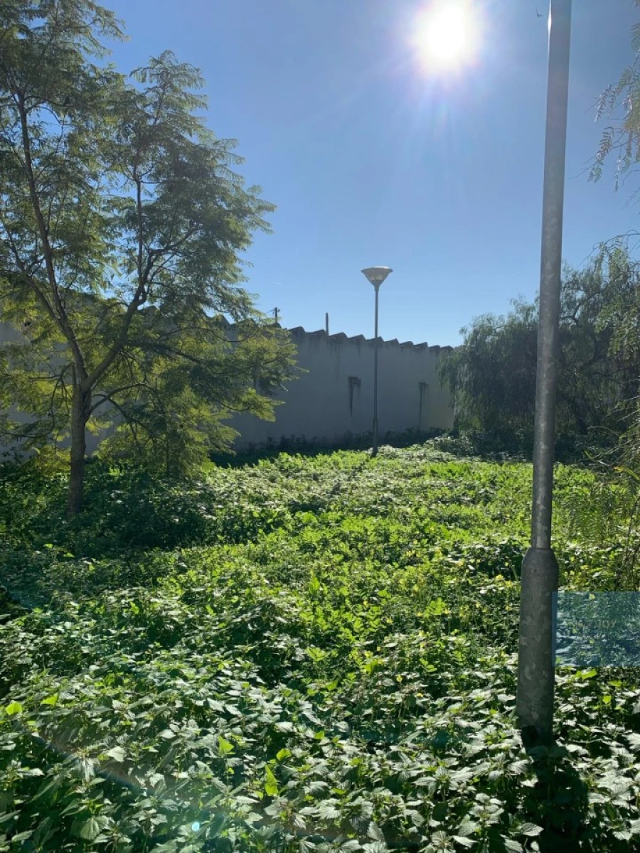 Terreno para Venda em Montijo e Afonsoeiro Foto 21
