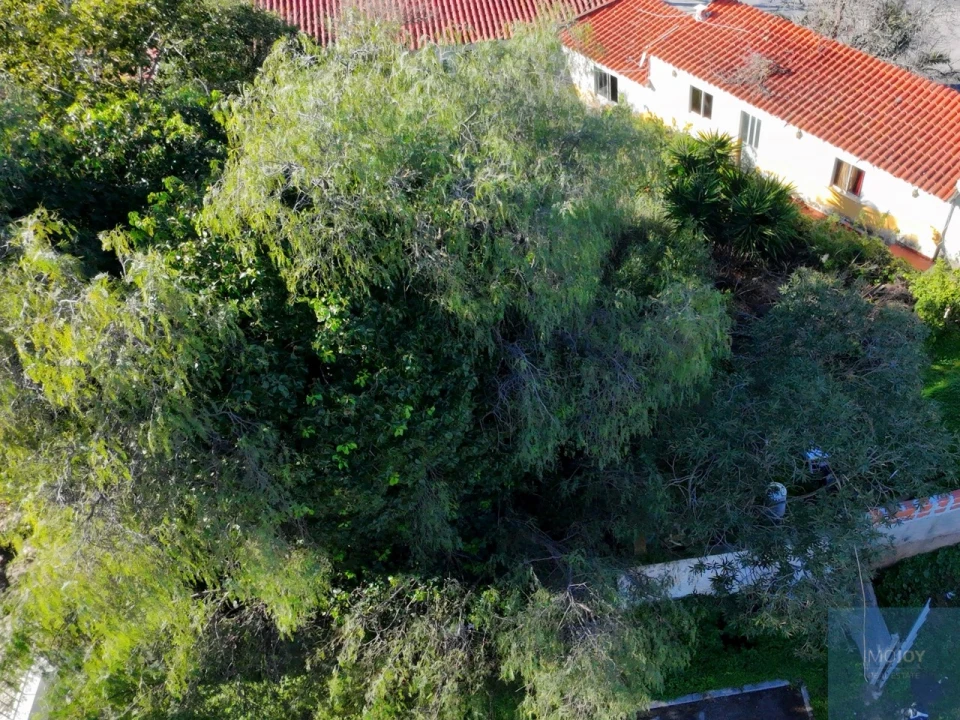 Terreno para Venda em Portimão Foto 6