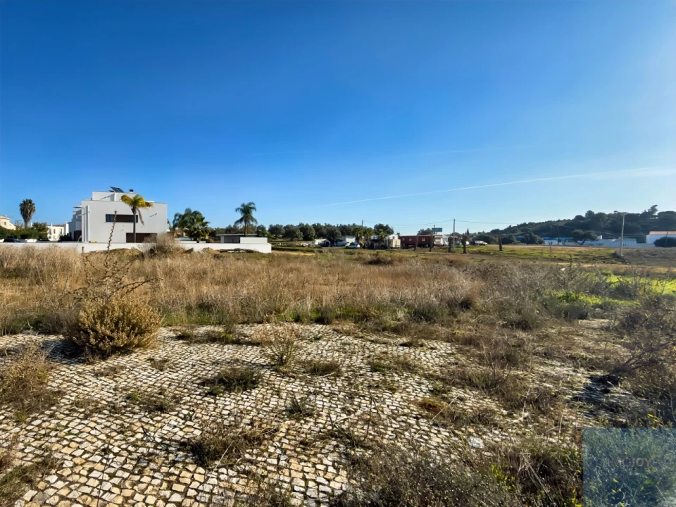 Terreno para Venda em Ferreiras Foto 8