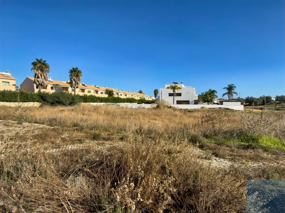 Terreno para Venda em Ferreiras Foto 10