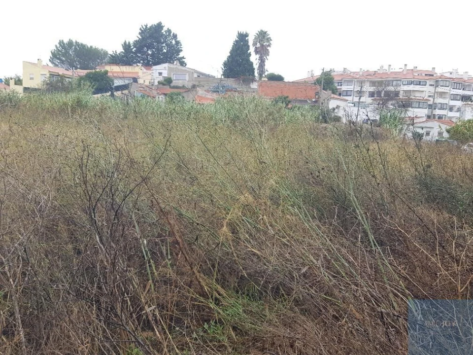 Terreno para Venda em São Domingos de Rana Foto 2