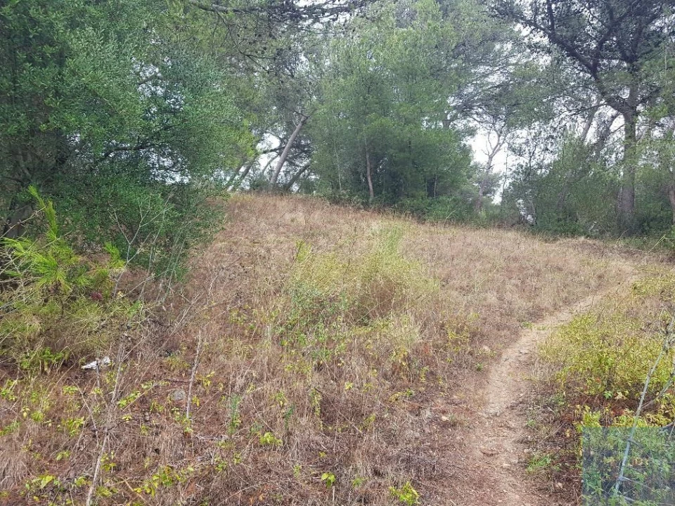 Terreno para Venda em São Domingos de Rana Foto 5