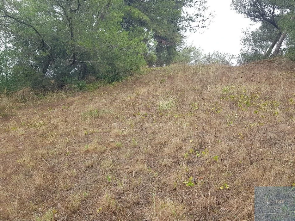 Terreno para Venda em São Domingos de Rana Foto 12