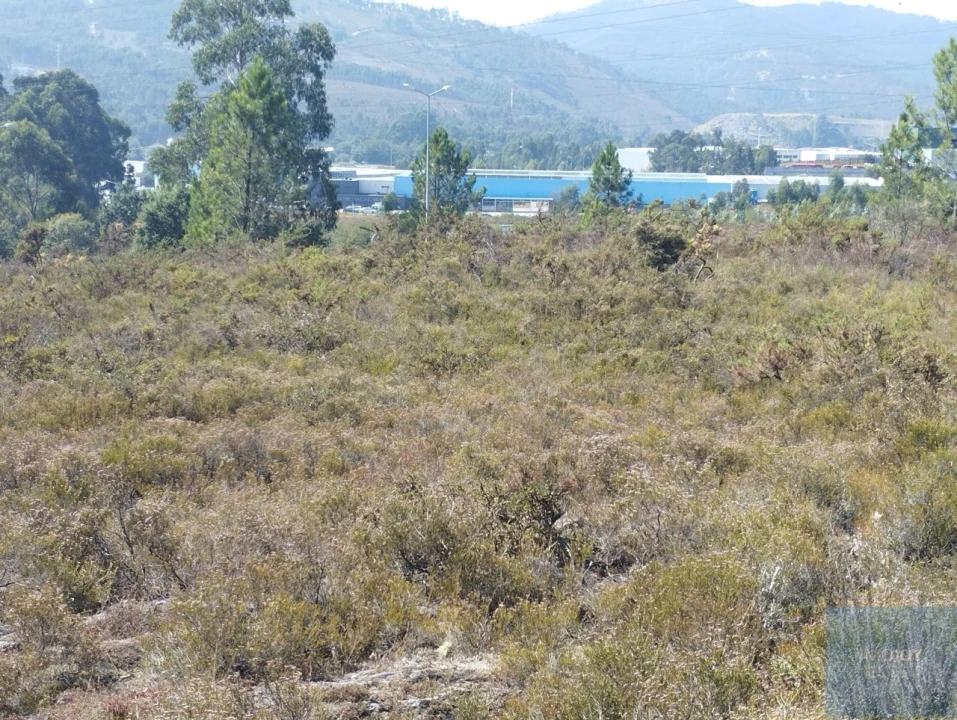 Terreno para Venda em Campo e Sobrado Foto 2