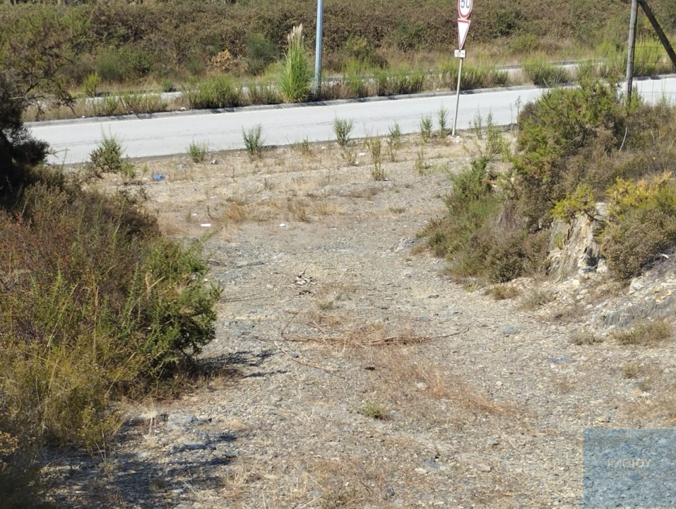 Terreno para Venda em Campo e Sobrado Foto 5
