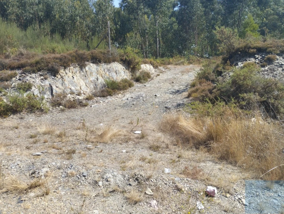 Terreno para Venda em Campo e Sobrado Foto 8