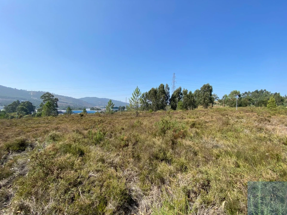 Terreno para Venda em Campo e Sobrado Foto 12