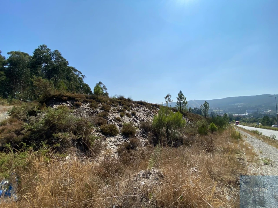 Terreno para Venda em Campo e Sobrado Foto 13