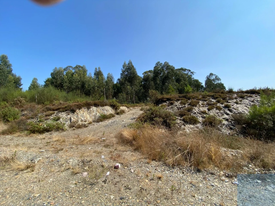 Terreno para Venda em Campo e Sobrado Foto 15