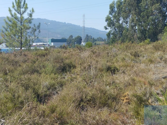 Terreno para Venda em Campo e Sobrado Foto 1
