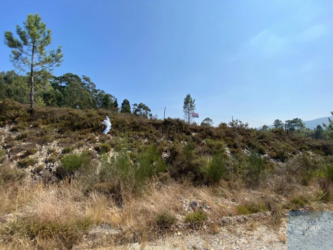 Terreno para Venda em Campo e Sobrado Foto 10