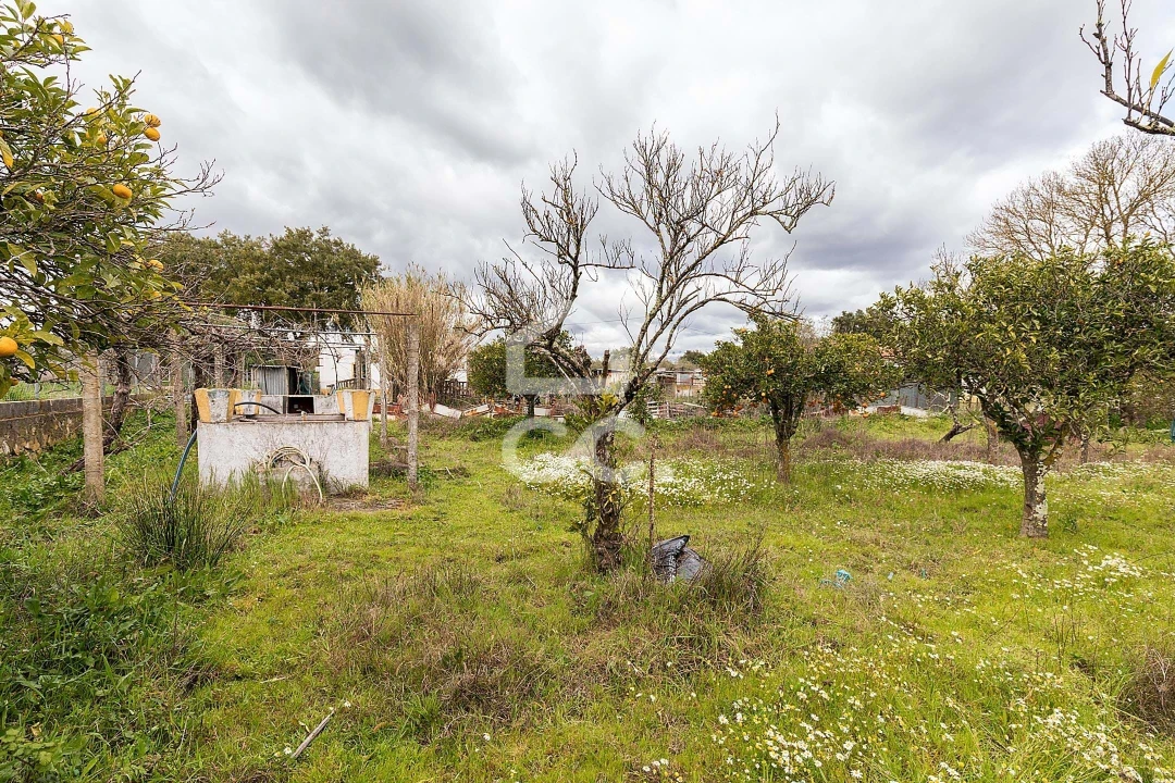 Quinta T4 para Venda em São Bento do Mato Foto 43