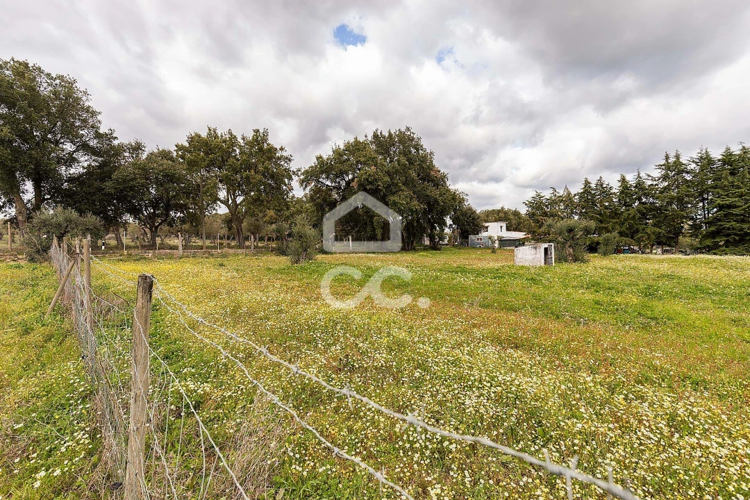 Quinta T4 para Venda em São Bento do Mato Foto 53