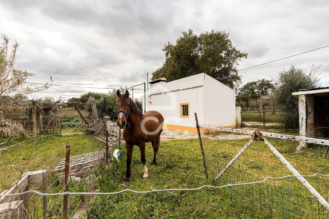 Quinta T4 para Venda em São Bento do Mato Foto 56